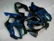 2001-2003 Blue Flames Honda CBR600 F4i Bike Fairings UK Factory 2001-2003 Blue Flames Honda CBR600 F4i Bike Fairings UK Factory