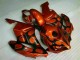 2004-2005 Brown Black Honda CBR1000RR Motorcylce Fairings UK Factory 2004-2005 Brown Black Honda CBR1000RR Motorcylce Fairings UK Factory